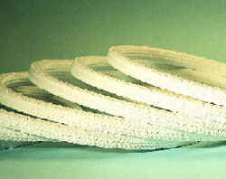 2005.jpg (6313 bytes)